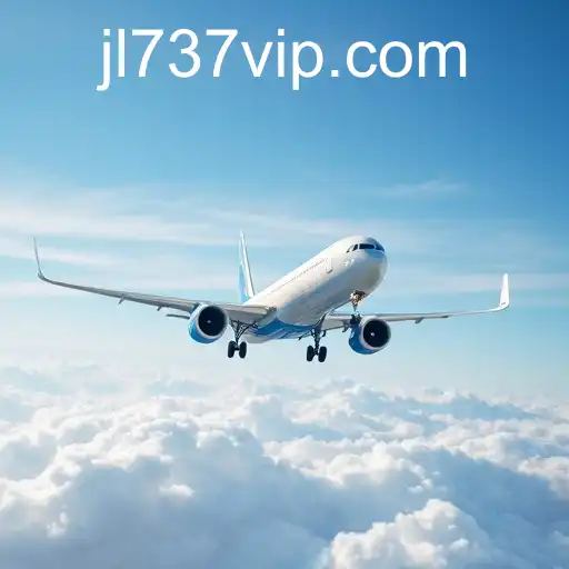 Promotions in the Aviation Industry with JL737